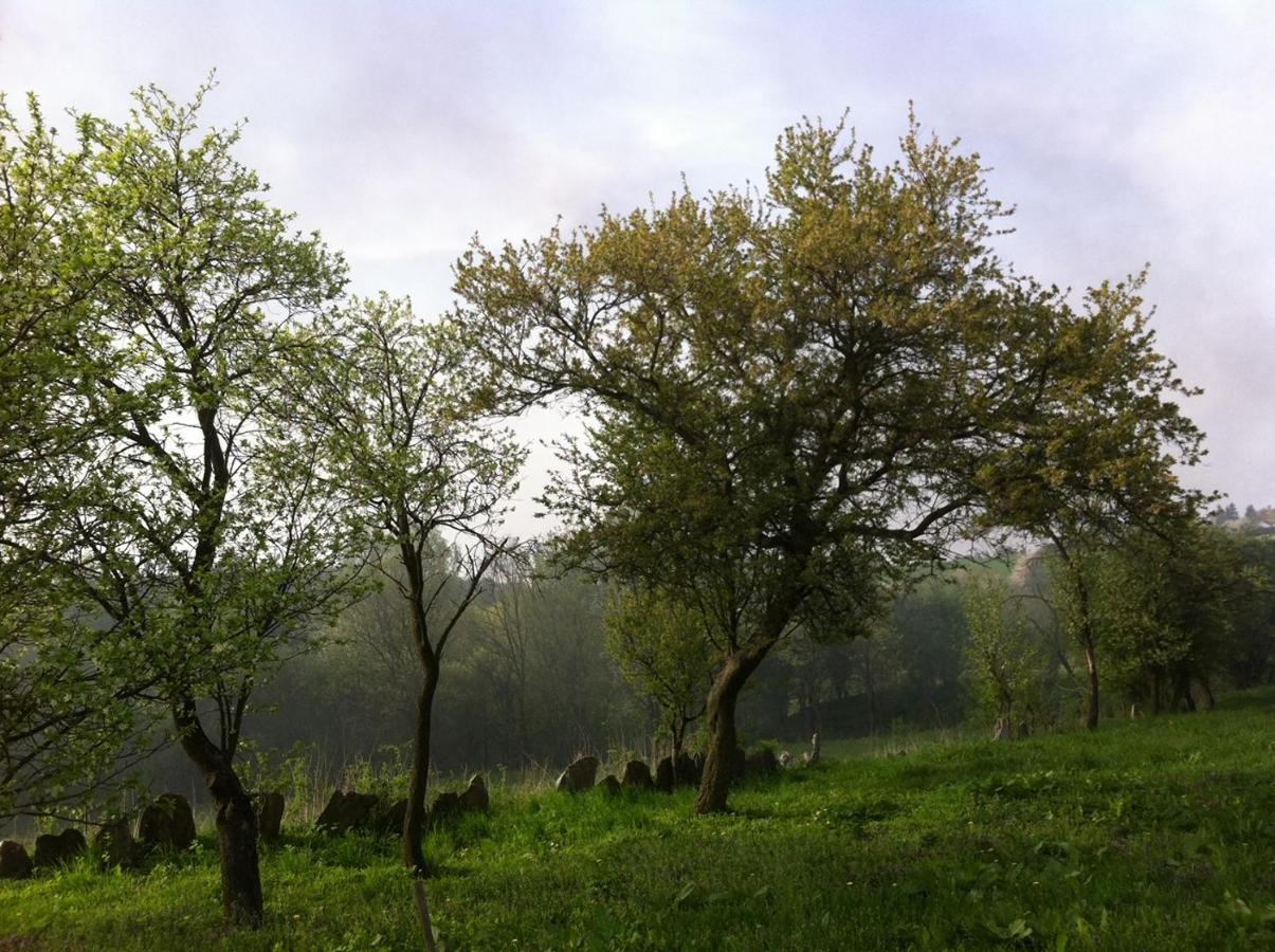 Domek V Podyji Lukov  Экстерьер фото